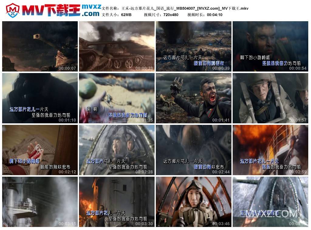 王禾-远方那片花儿_国语_流行_MB504007